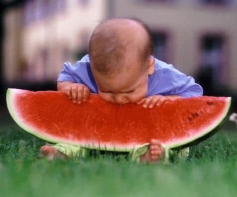 What I think babies should eat when they are ready for solid food